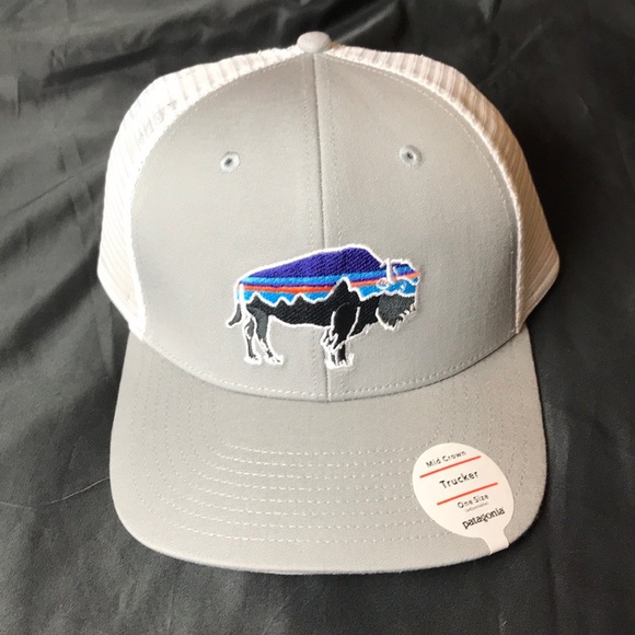 Patagonia Other - Patagonia Fitz Roy bison mid crown trucker hat